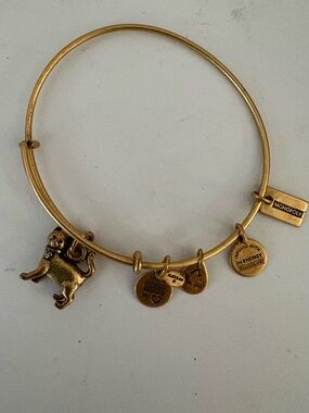 Alex and Ani Gold Monopoly Cat Charm Bangle Bracelet.